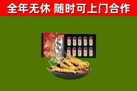 新北市回收冬虫夏草价格